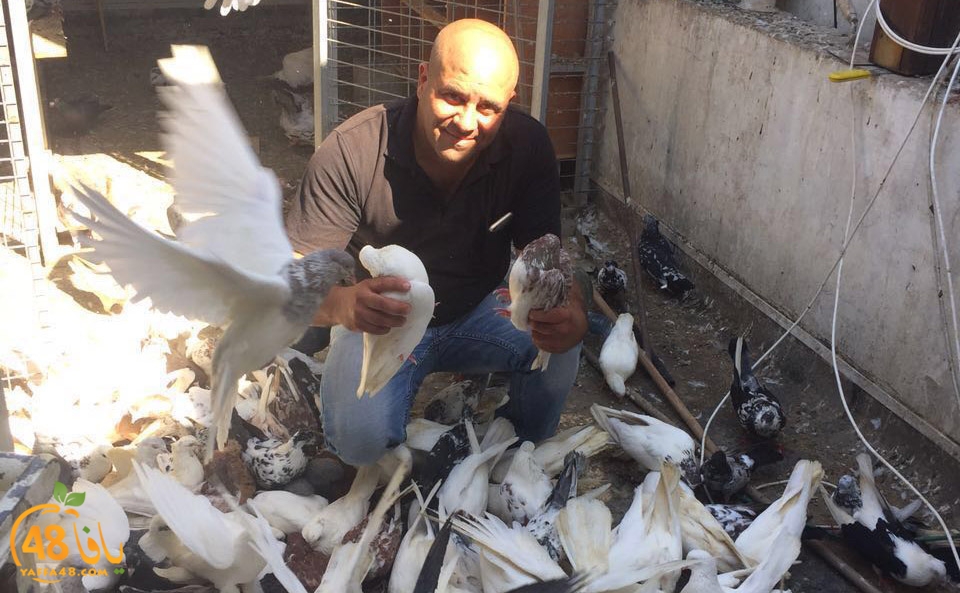 zohdy 3ashor (1).jpg